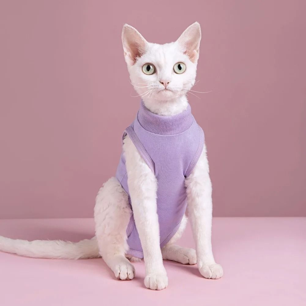 Cat Recovery Suit For Post Surgery Wound Protection 11