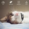 AirTag Cat Collar With Bell And Safety Buckle 10