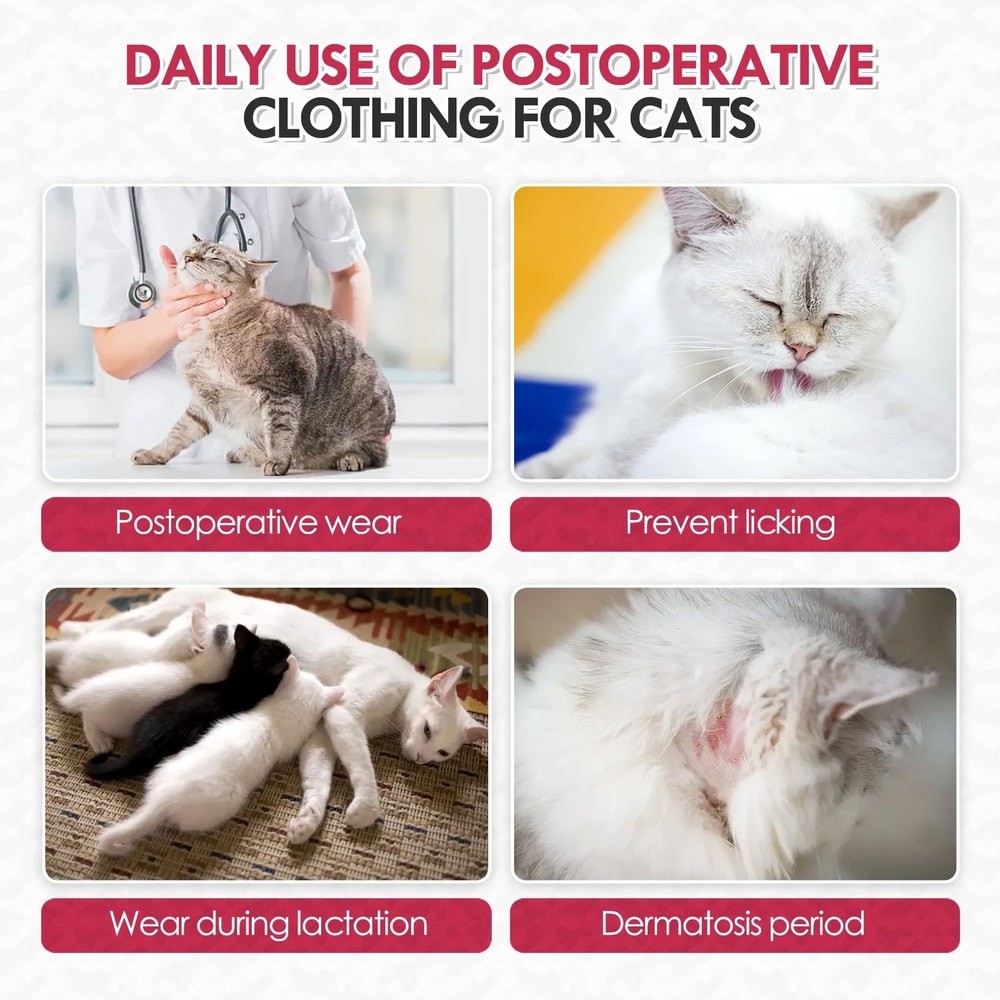 Breathable Cat Recovery Suit For Spay Surgery Care 3