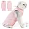 Breathable Cat Recovery Suit For Spay Surgery Care 0