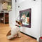 4 Way Lock Cat Flap Door For Kittens And Small Pets 5