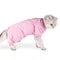 Cat Surgical Recovery Suit For Anti Licking Wound Care 0