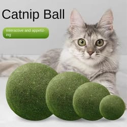 large catnip ball toy for indoor cat chewing play