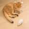 Wind Up Plush Mouse Cat Toy For Interactive Chase Play 1