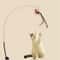 Suction Cup Feather Cat Toy Interactive Bird Teaser Wand 0