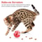 Interactive Cat Treat Dispenser Ball Slow Feeder Toy 4