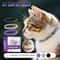 Adjustable Cat Calming Pheromone Collar For Stress Relief Travel And Daily Comfort 5