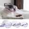 Transparent Anti Bite Cat Muzzle For Grooming Bathing Nail Trimming And Vet Care 0