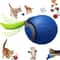 Wall Hanging Sounding Bird Cat Toy With Catnip For Indoor Chasing Play 10
