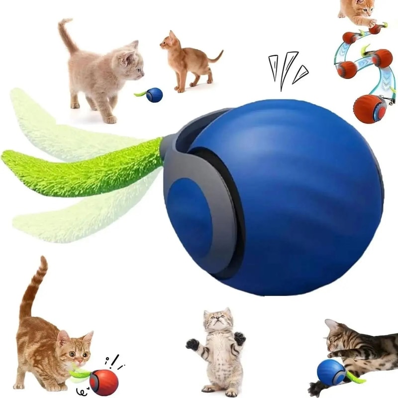 Wall Hanging Sounding Bird Cat Toy With Catnip For Indoor Chasing Play 10
