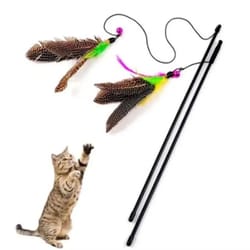 feather bell cat teaser wand for kitten chase jump and interactive play