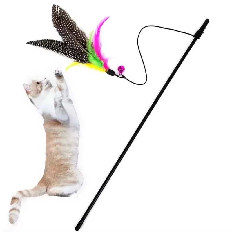 Feather Bell Cat Teaser Wand For Kitten Chase Jump And Interactive Play 6