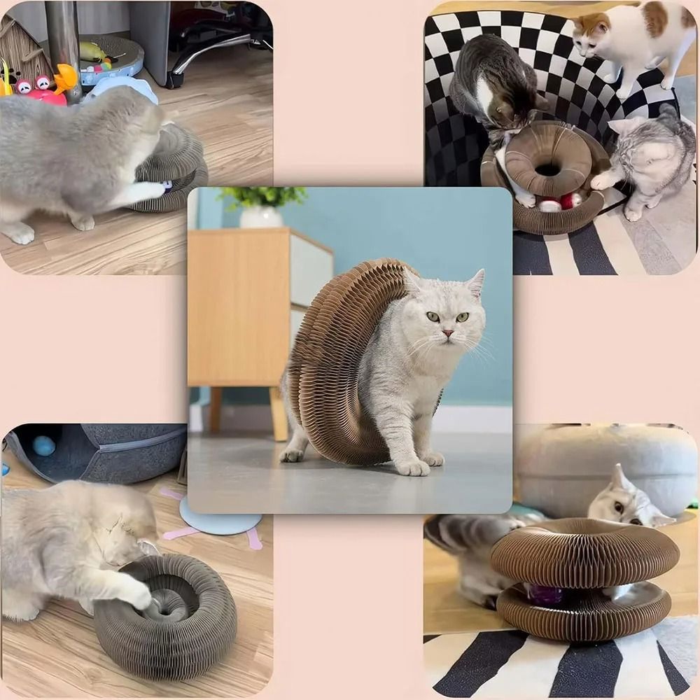 Foldable Magic Organ Cat Scratching Board With Ball Track For Claw Grinding Play 4