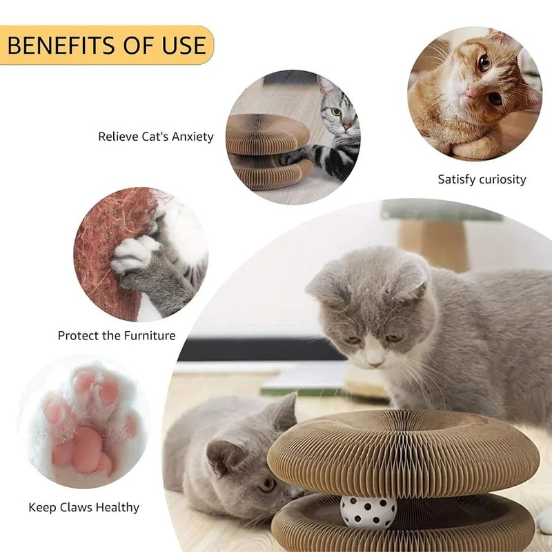 Foldable Magic Organ Cat Scratching Board With Ball Track For Claw Grinding Play 8