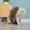Round Magic Organ Cat Scratching Board With Ball Track For Claw Grinding Play 3