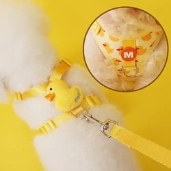 adjustable no pull cat harness and leash set