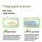 Hydroponic Cat Grass Kit For Indoor Cats 5
