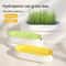 Hydroponic Cat Grass Kit For Indoor Cats 7
