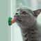 Catnip Licking Energy Ball Treat For Kittens 0