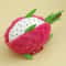 Dragon Fruit Catnip Plush Chew Toy For Kitten Teeth Cleaning Play 4