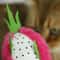 Dragon Fruit Catnip Plush Chew Toy For Kitten Teeth Cleaning Play 6