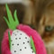 Dragon Fruit Catnip Plush Chew Toy For Kitten Teeth Cleaning Play 6