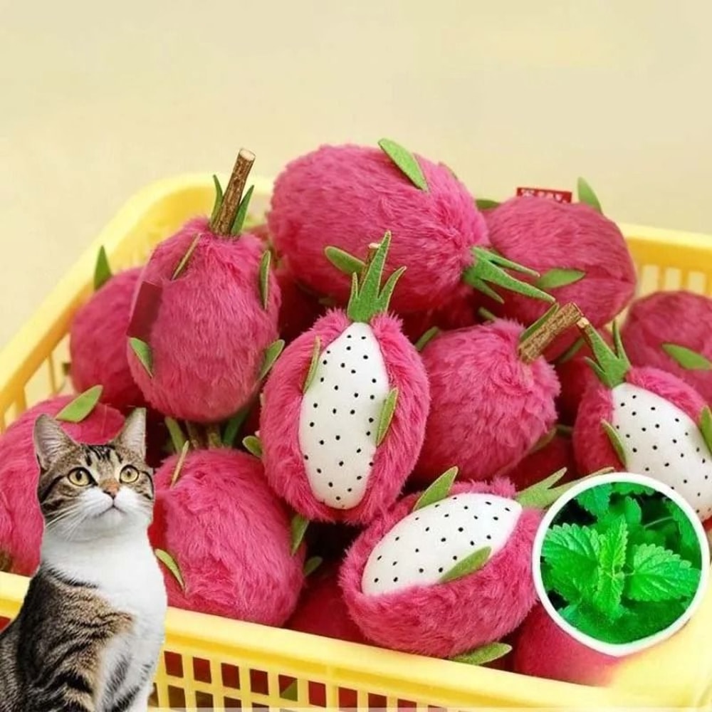 Dragon Fruit Catnip Plush Chew Toy For Kitten Teeth Cleaning Play 0