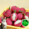 Dragon Fruit Catnip Plush Chew Toy For Kitten Teeth Cleaning Play 0