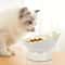 Stable Raised Cat Food Bowl For Comfortable Kitten Water And Pet Feeding 6