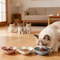 Non Slip Shallow Cat Bowls Set For Kittens Ferrets And Small Pets 4