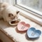 Non Slip Shallow Cat Bowls Set For Kittens Ferrets And Small Pets 5