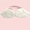 Pet Wing Costume Collar With Bow Tie For Holiday Photos And Cute Dress Up 4