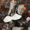 Pet Wing Costume Collar With Bow Tie For Holiday Photos And Cute Dress Up 6