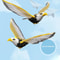 Hanging Bird Cat Toy With Automatic Motion Rope For Indoor Play And Exercise 7