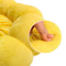 Sunflower Pet Recovery Collar For Anti Lick Surgery Wound Protection And Comfort 3
