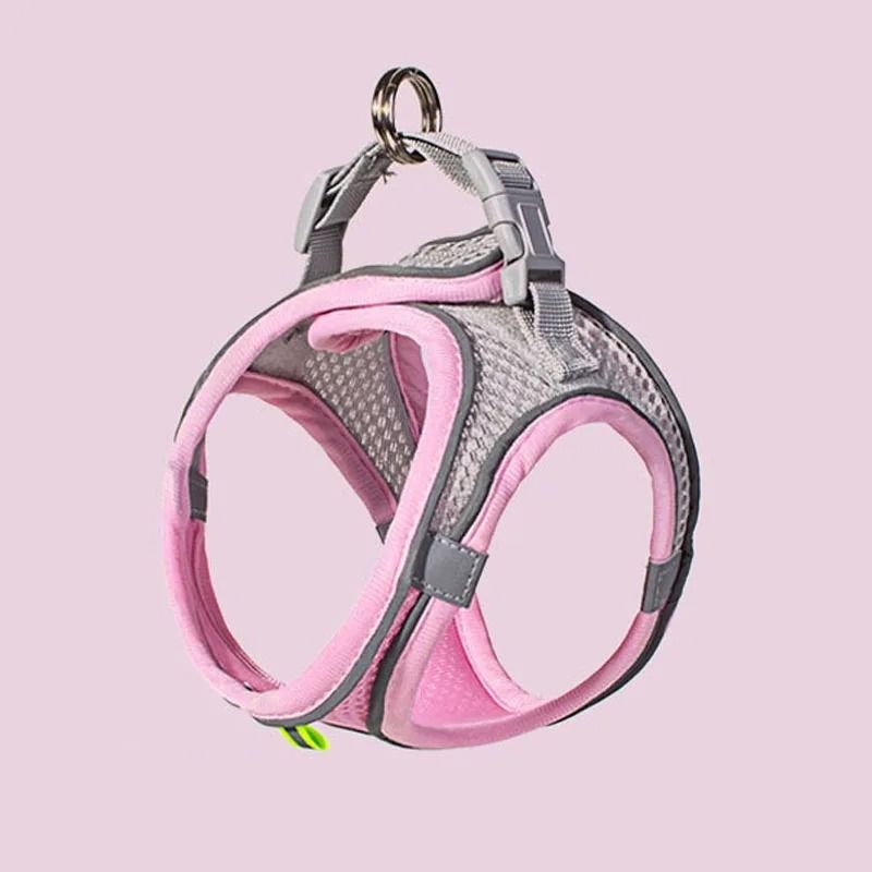 Reflective Breathable Cat Dog Harness Vest With Adjustable Leash For Small Medium Pets 2