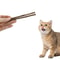 Natural Matatabi Cat Chew Sticks For Dental Care Play And Furniture Saving 1