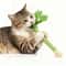Realistic Celery Catnip Chew Toy For Dental Care Kicking And Indoor Play 0