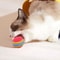 Colorful EVA Cat Toy Balls For Chewing Chasing Training And Interactive Play 10