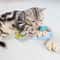 Catnip Plush Mouse Cat Toy For Kitten Chasing Chewing And Indoor Play 4