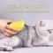 Cat Dog Steam Grooming Brush With Electric Spray Massage Comb For Shedding 11
