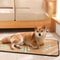 Summer Cooling Pet Mat For Dogs Cats Crates Sofas And Extra Large Beds 9
