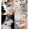 Reflective Breakaway Cat Collar With Bell Soft Adjustable Neck Ring For Small Pets 14