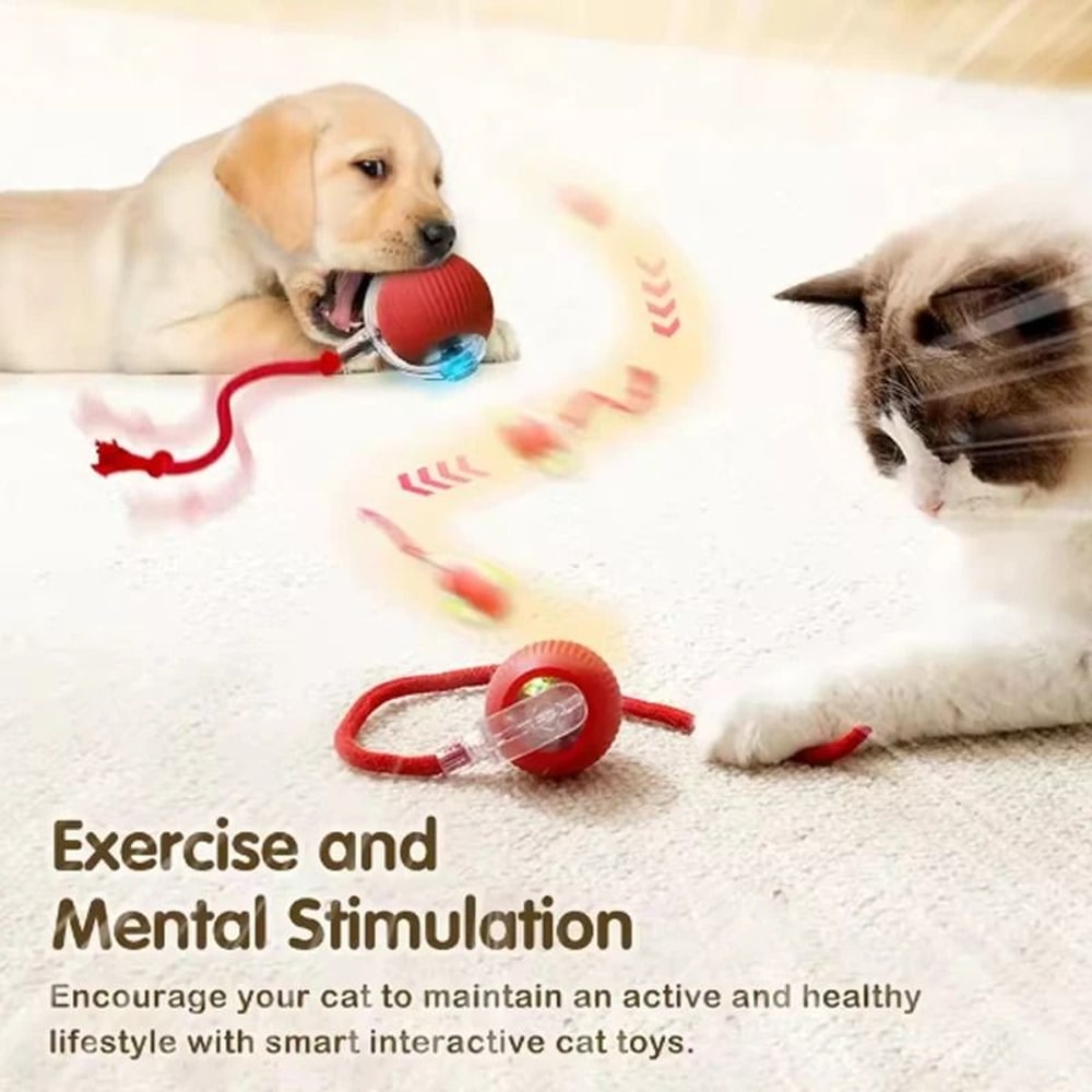 Smart Electric Cat Rolling Ball Toy For Indoor Exercise And Boredom Relief 7