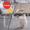 Simulation Bird Feather Cat Teaser Wand Toy With Bell For Active Indoor Play 14