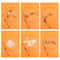 Simulation Bird Feather Cat Teaser Wand Toy With Bell For Active Indoor Play 9