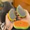 Three In One Pet Steam Brush For Cat Hair Removal And Gentle Massage 0