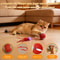Rechargeable Automatic Moving Cat Toy Ball With Speedy Tail For Active Indoor Play 7