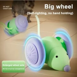 smart electric mouse cat toy with rechargeable motion for indoor chase play