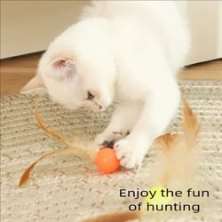 elastic feather cat ball toy for interactive indoor kitten and puppy chase play